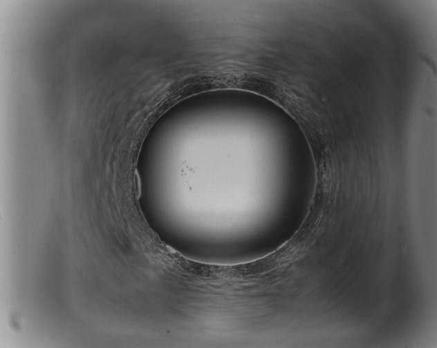 X0000099531057200805231057