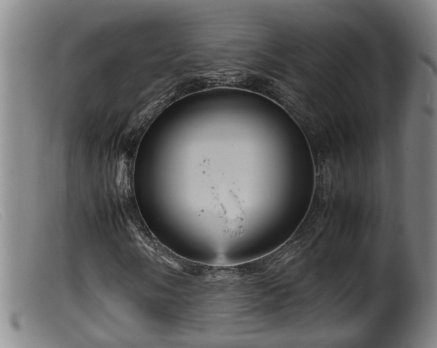 X0000099531058200805231057