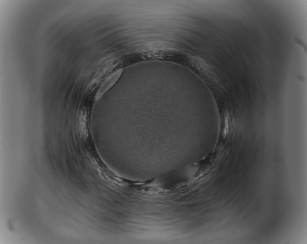 X0000099531060200805231057