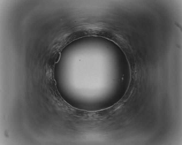 X0000099531061200805231057