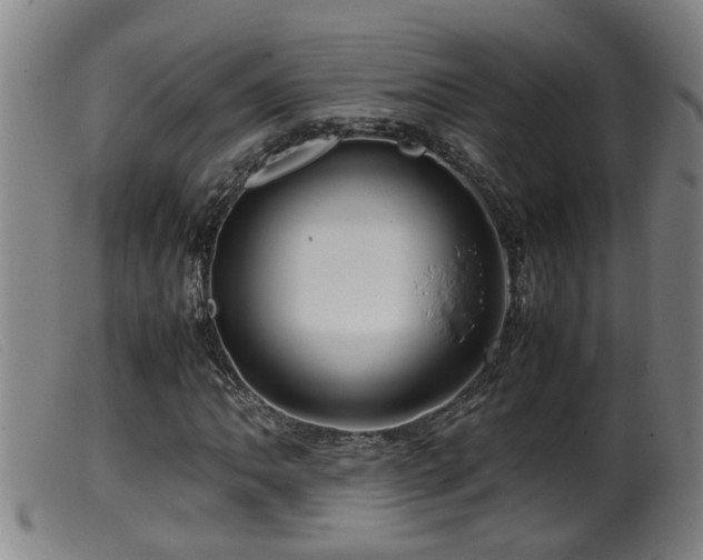 X0000099531062200805231057