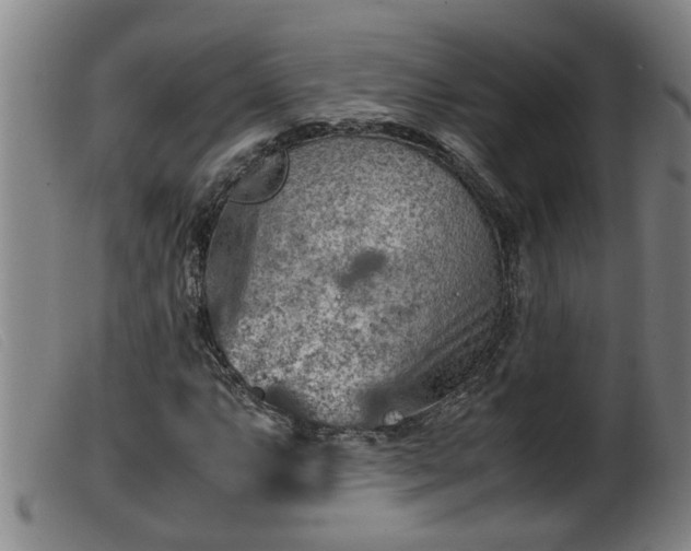 X0000099531063200805231057