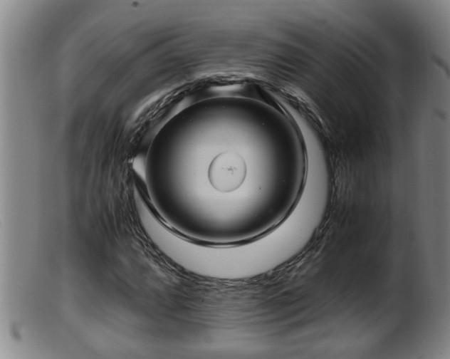 X0000099531064200805231057