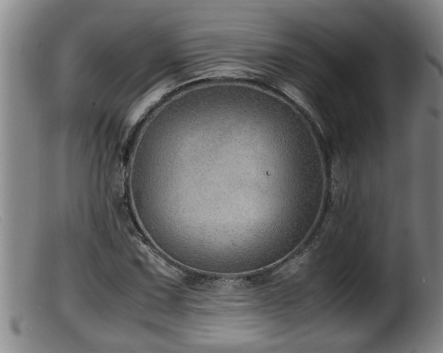 X0000099531067200805231056