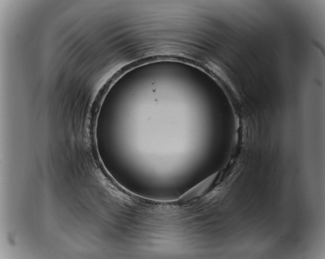 X0000099531068200805231056