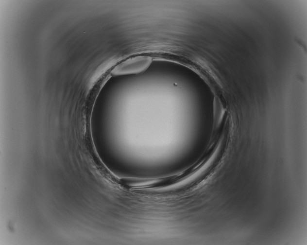 X0000099531069200805231056