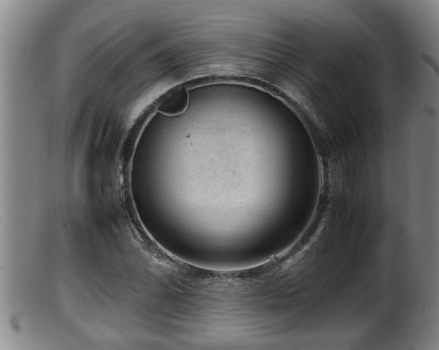 X0000099531070200805231056