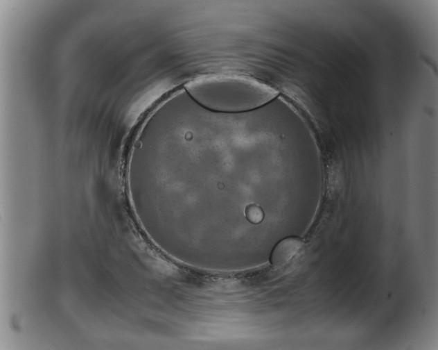 X0000099531071200805231056