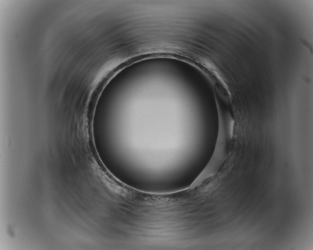 X0000099531072200805231056