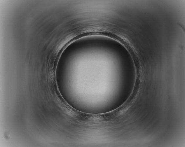 X0000099531073200805231056