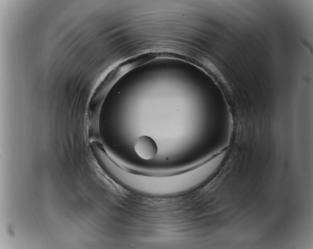 X0000099531076200805231056