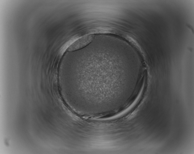 X0000099531081200805231056