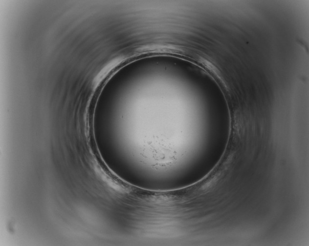 X0000099531082200805231056