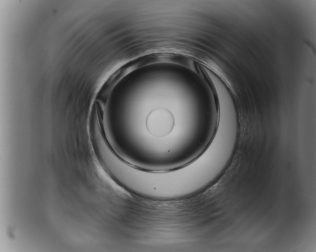 X0000099531084200805231056