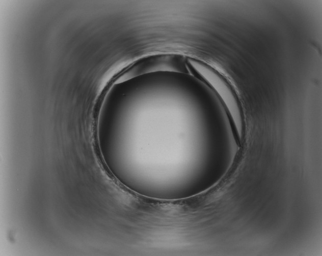X0000099531085200805231056