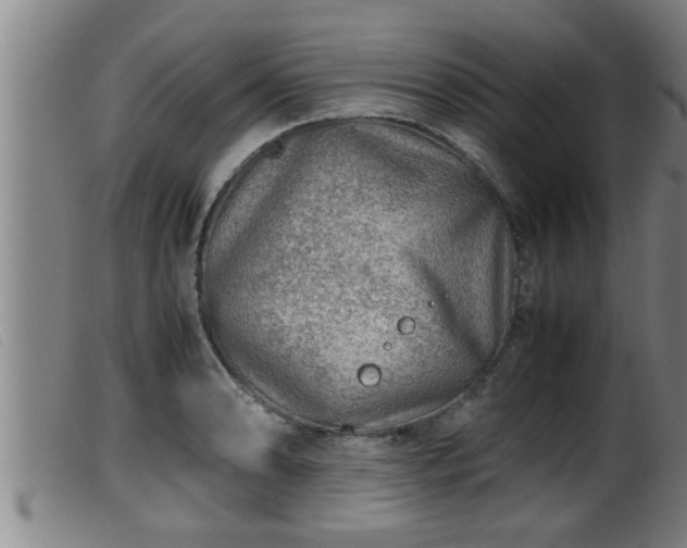 X0000099531086200805231056