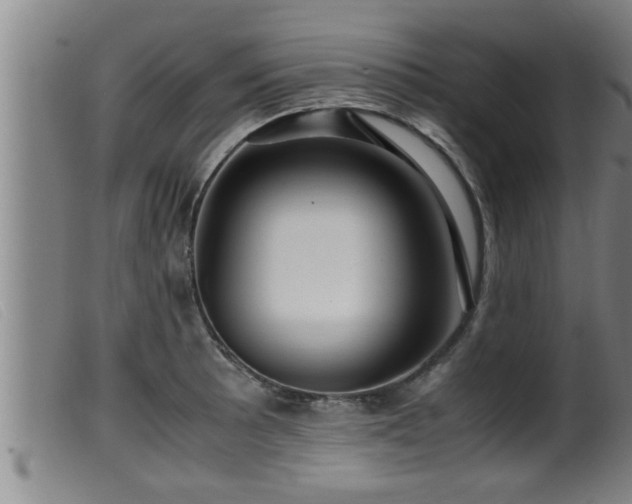 X0000099531089200805231056
