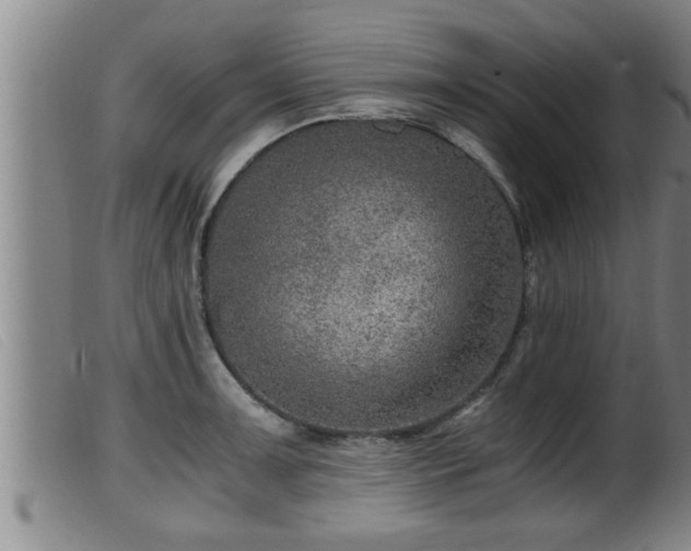 X0000099531091200805231056