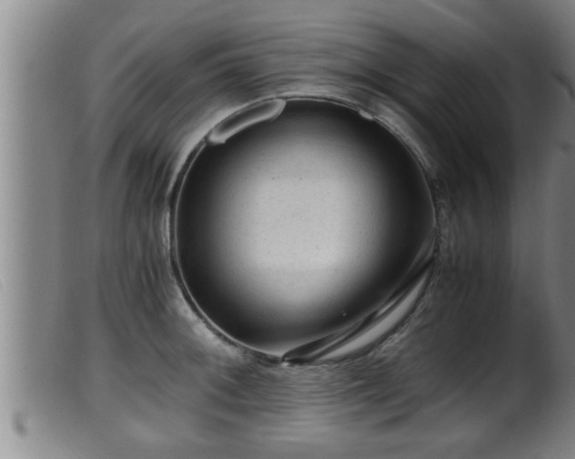 X0000099531092200805231056