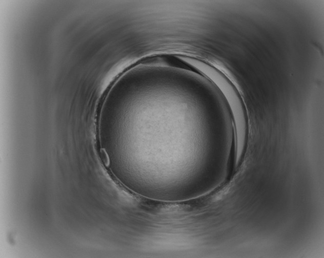 X0000099531093200805231056