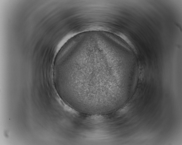 X0000099531094200805231056