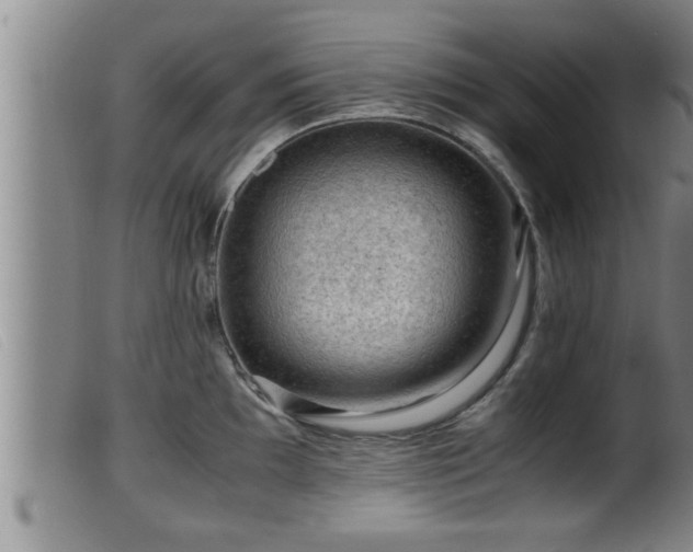 X0000099531097200805231056