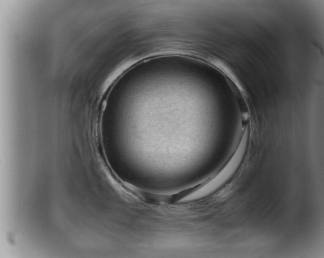 X0000099531101200805231056