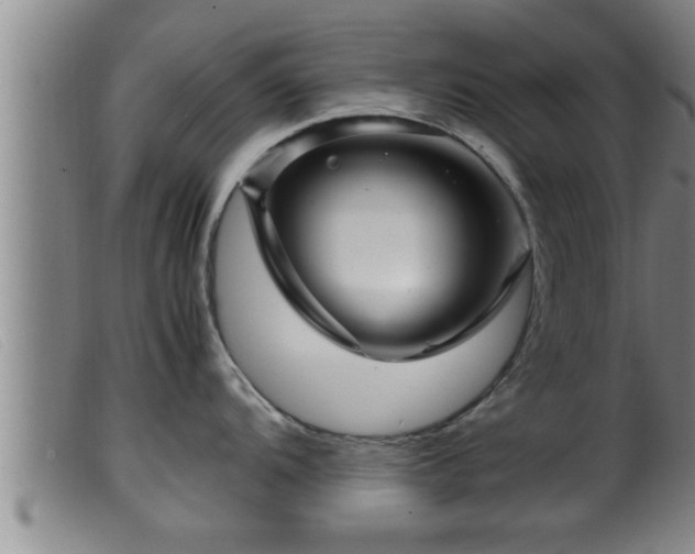 X0000099531104200805231056