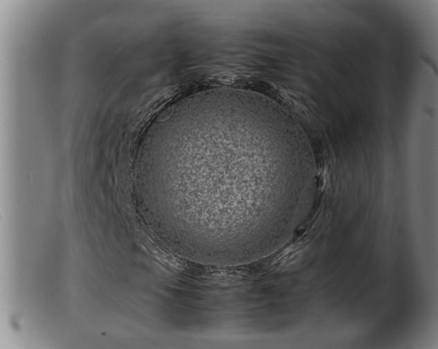 X0000099531105200805231055