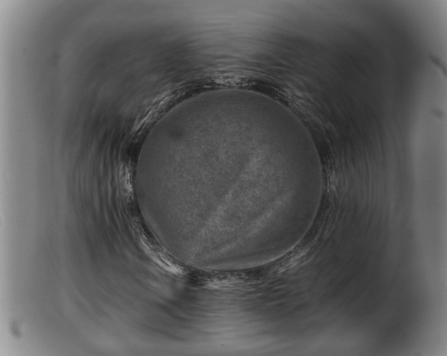 X0000099531106200805231055