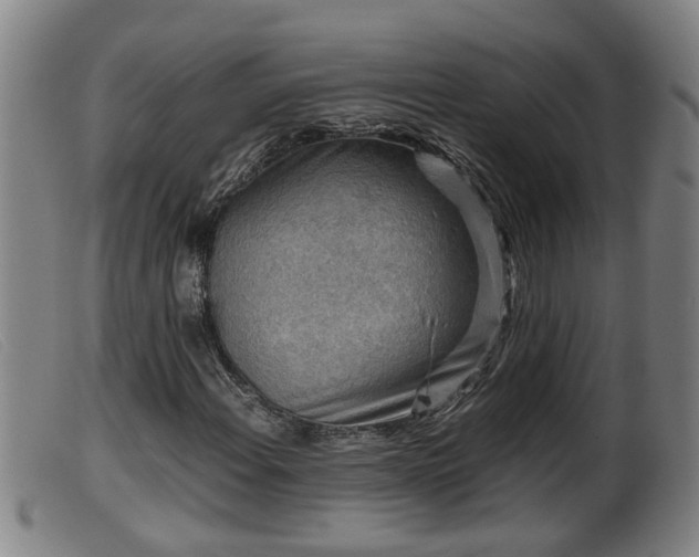 X0000099531108200805231055