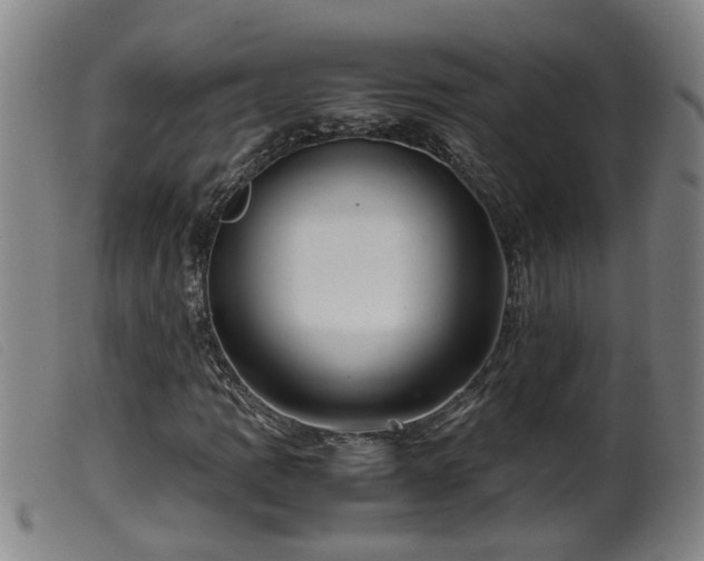 X0000099531109200805231055