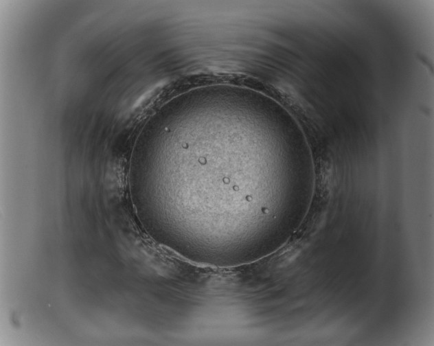 X0000099531110200805231055
