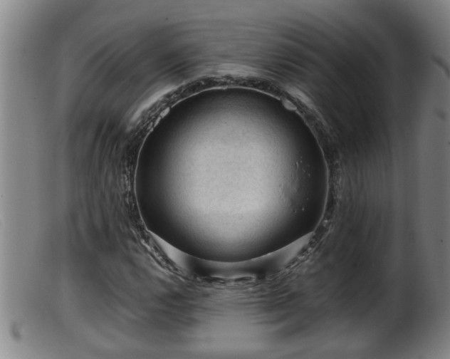 X0000099531112200805231055