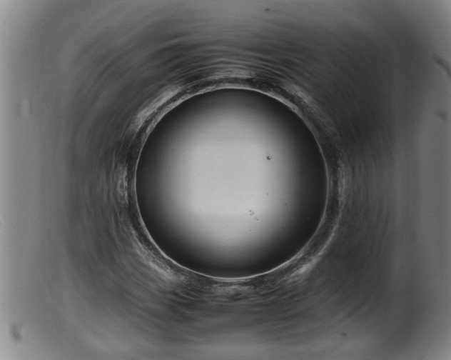 X0000099531113200805231055