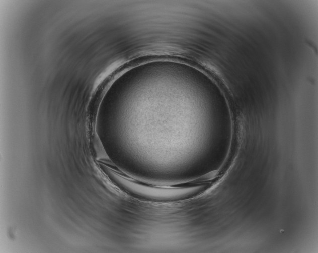 X0000099531114200805231055