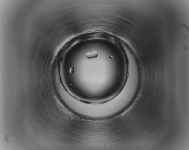 X0000099531118200805231055