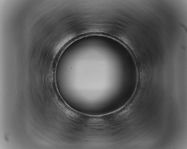 X0000099531119200805231055