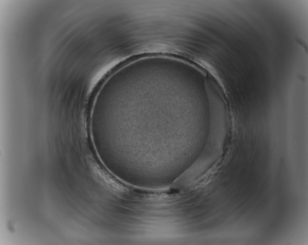 X0000099531120200805231055
