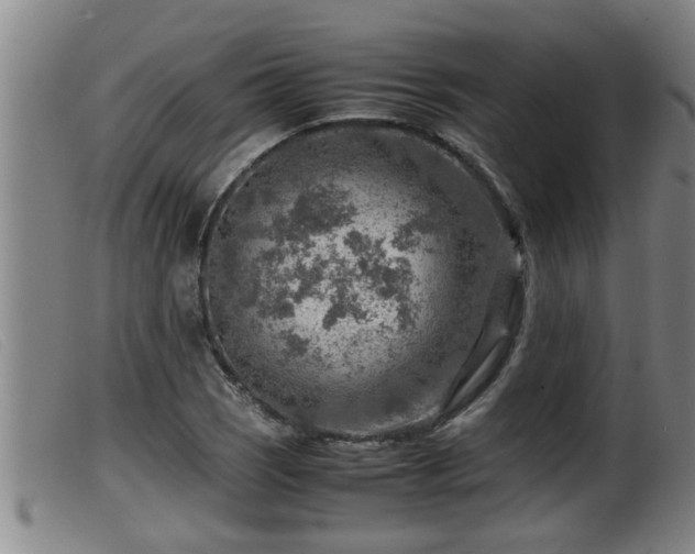 X0000099531121200805231055