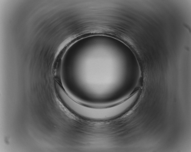 X0000099531122200805231055
