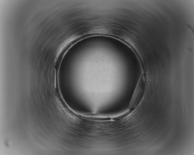 X0000099531123200805231055