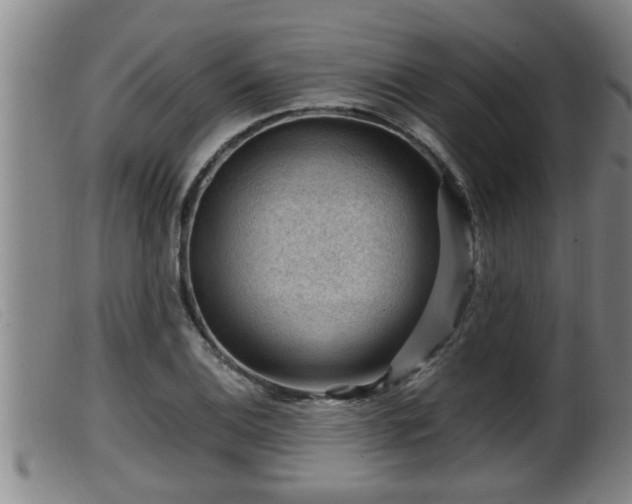 X0000099531124200805231055