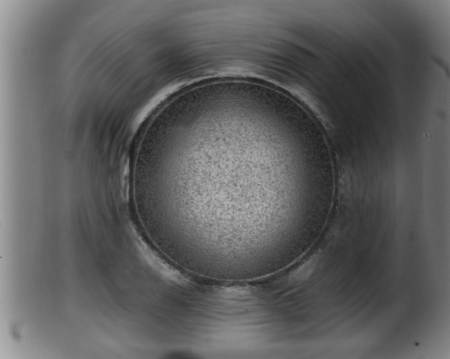 X0000099531126200805231055