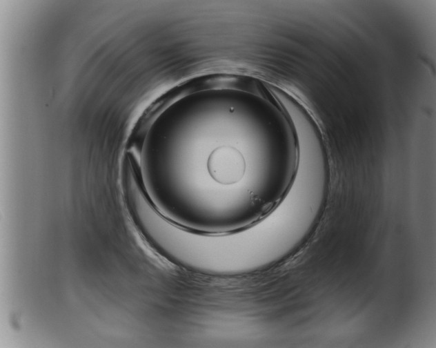 X0000099531128200805231055