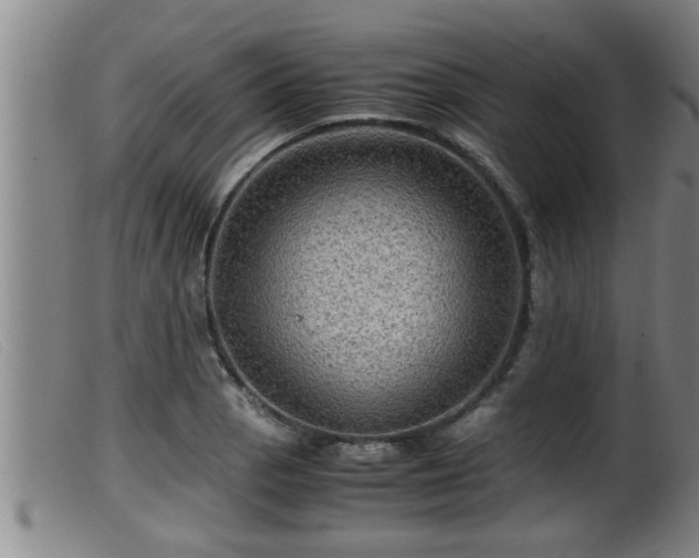 X0000099531129200805231055