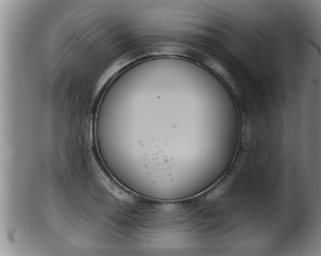 X0000099531130200805231055