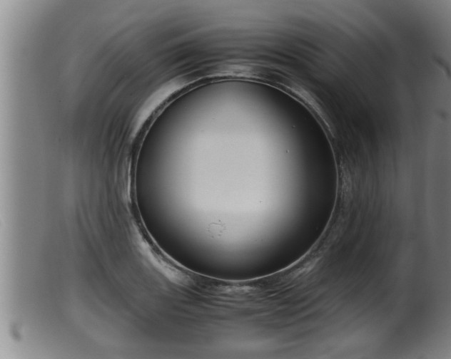X0000099531131200805231055