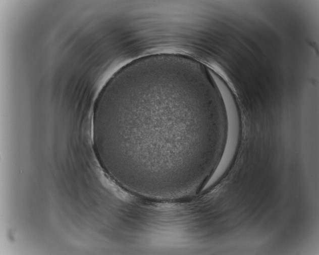 X0000099531132200805231055
