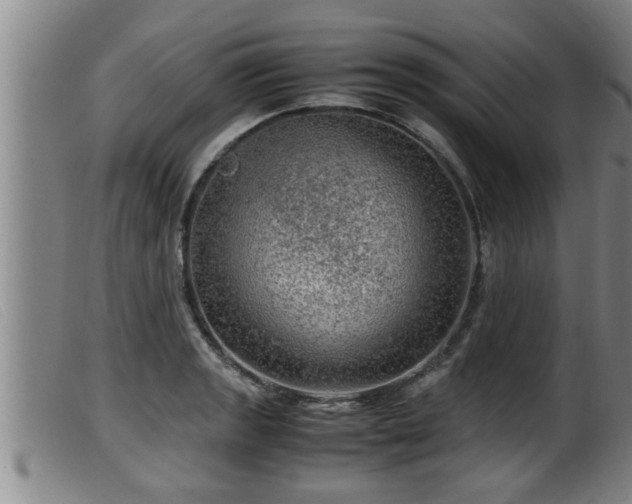 X0000099531133200805231055